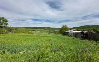 Teren de vânzare, Sat Valea Mare, Com. Roșiori, Bacău - Poză 7