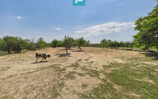 Casă cu 6 camere în Sânicolau Mare Timiș - Poză 21