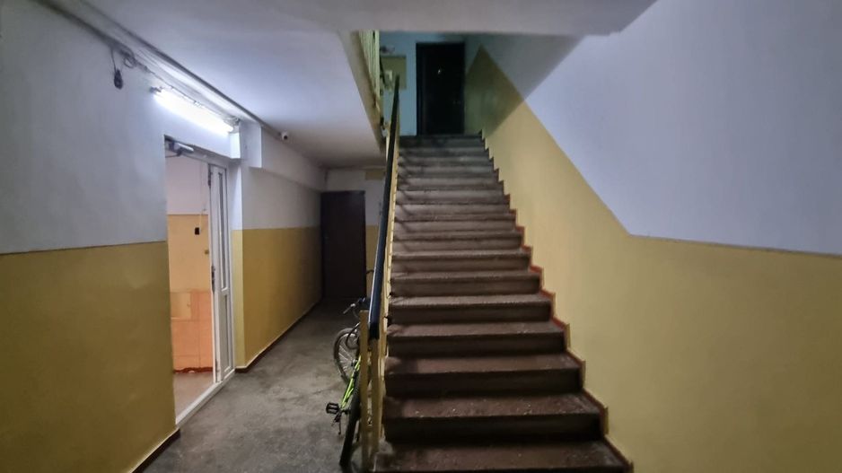 Timisoara Profii - Poză 5