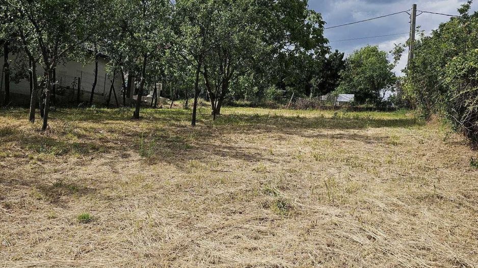 Teren construibil Saldabagiu de Munte 780 mp - Poză 8