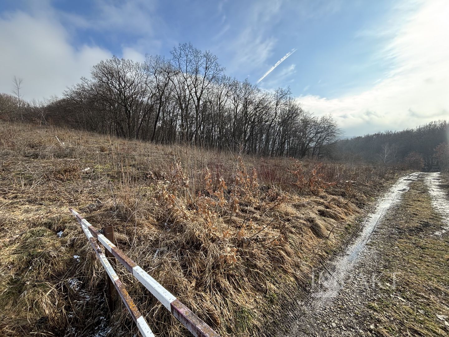 De vânzare două parcele de 3752 mp împreună- zona Făget - Poză 1