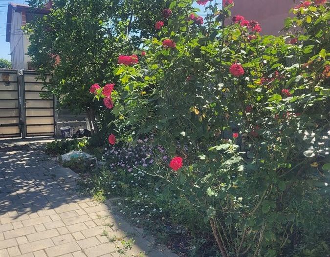 Casa de vanzare Brancoveanu. - Poză 4