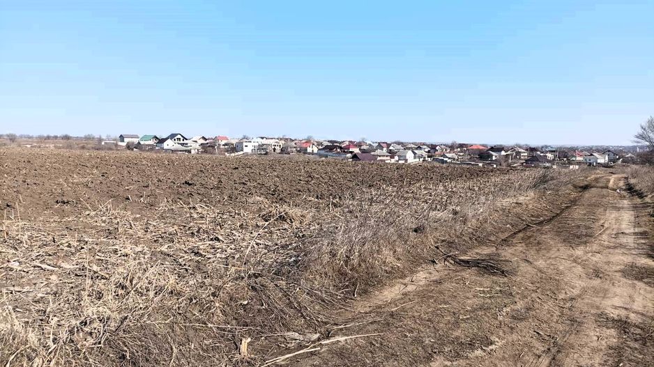 Teren Agricol de Vânzare - 162 Ari în or. Singera, Extravilan 🌿 - Poză 3