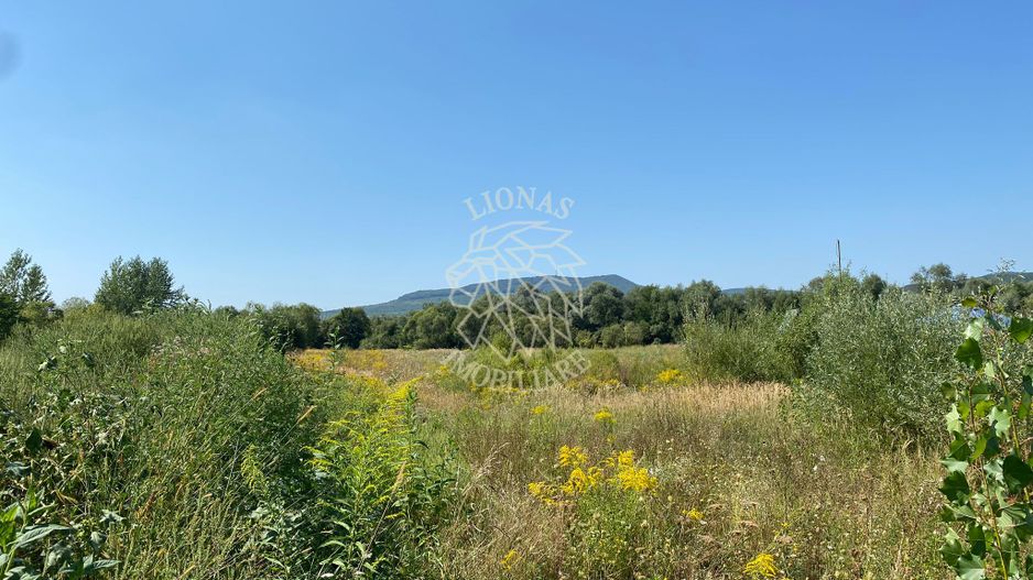 Teren 4100 mp - oportunitate investitie - Bistrita Zona Ranahum - Poză 6