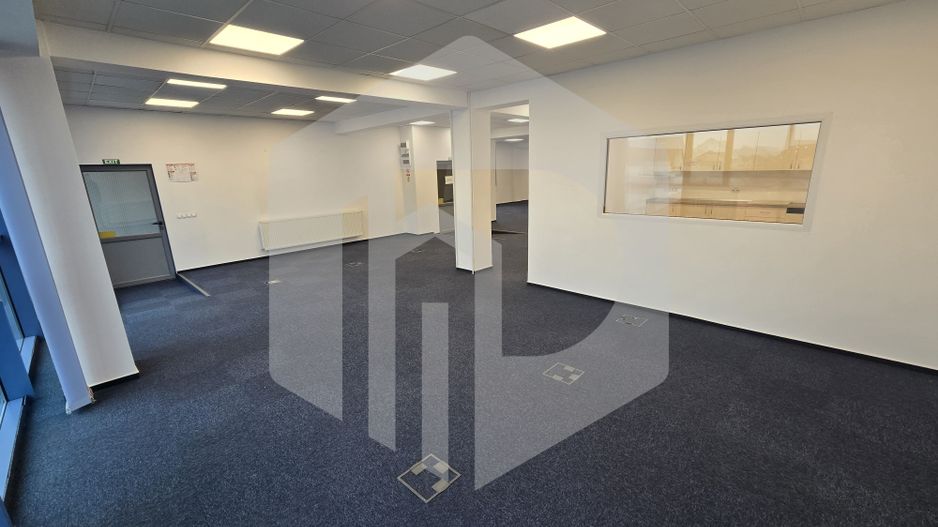 Spatiu de birouri 238 mp zona Calea Dumbravii - Poză 8