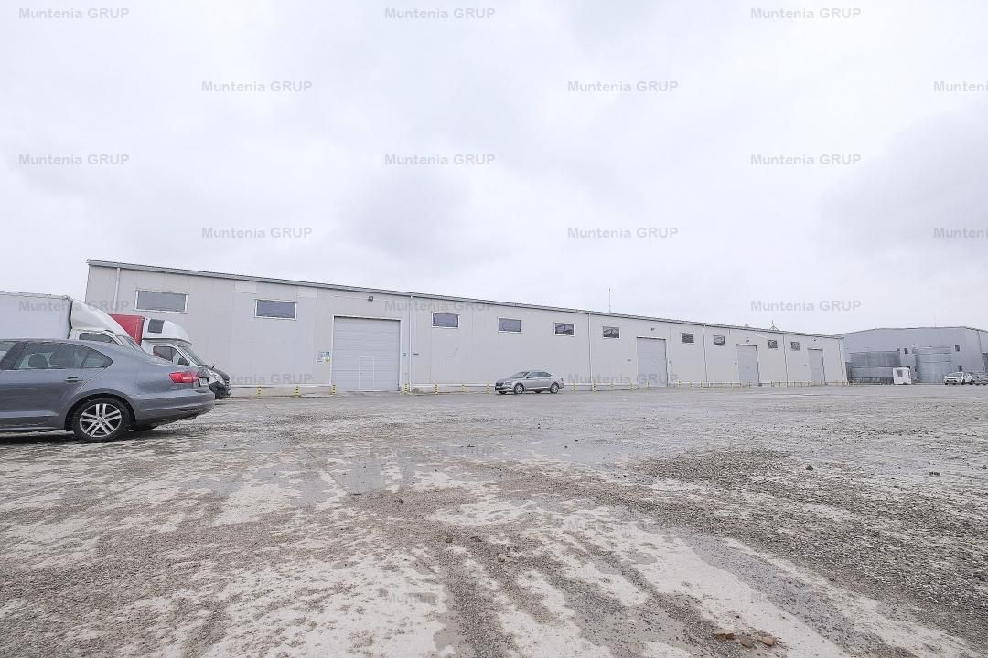STEFANESTII DE JOS - Bucuresti NORD, Parc Logistic cu 3 spatii industriale - Poză 4