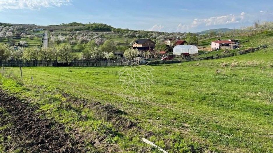 Teren 3300 mp-investitie, case de vacanta, agricultura-Valea Sigmirului - Poză 1