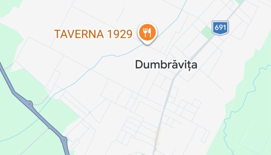 Teren Padurea Verde Dumbravita cu 2 fronturi stradale - Poză 1