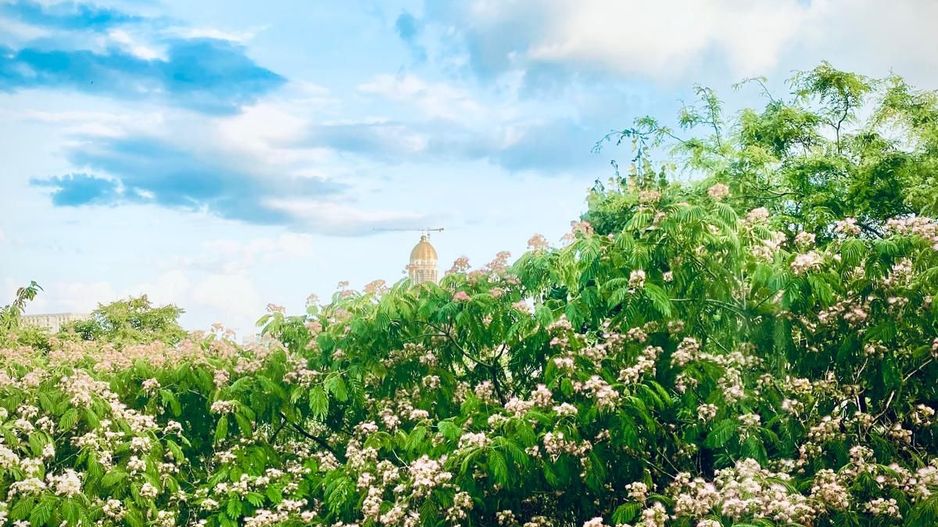 Apartament 3 camere + 1 birou,  Cotroceni, curte si gradina, metrou Eroilor - Poză 23