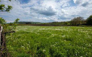 Teren intravilan Blăgești, Bacău - Poză 9