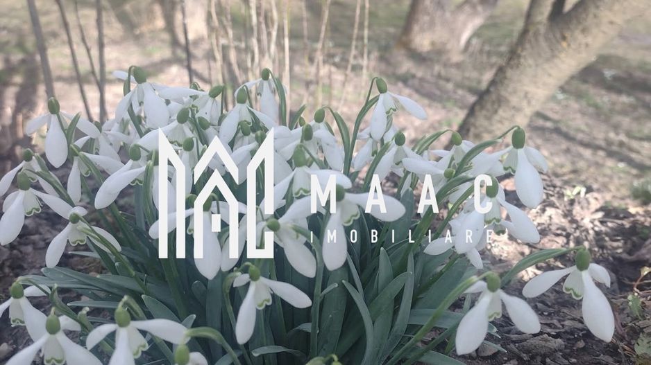 Casa Vantului si 8000 metri patrati in Abrud - Poză 4