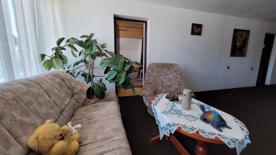 Pensiune + fermă piscicolă (sturion/caviar) | Saru Dornei/Sarisor - Poză 25