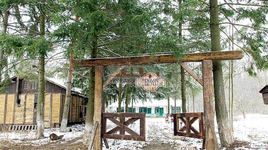 Teren de vanzare Cocani, Crevedia, langa  padure Dambovita - Poză 1