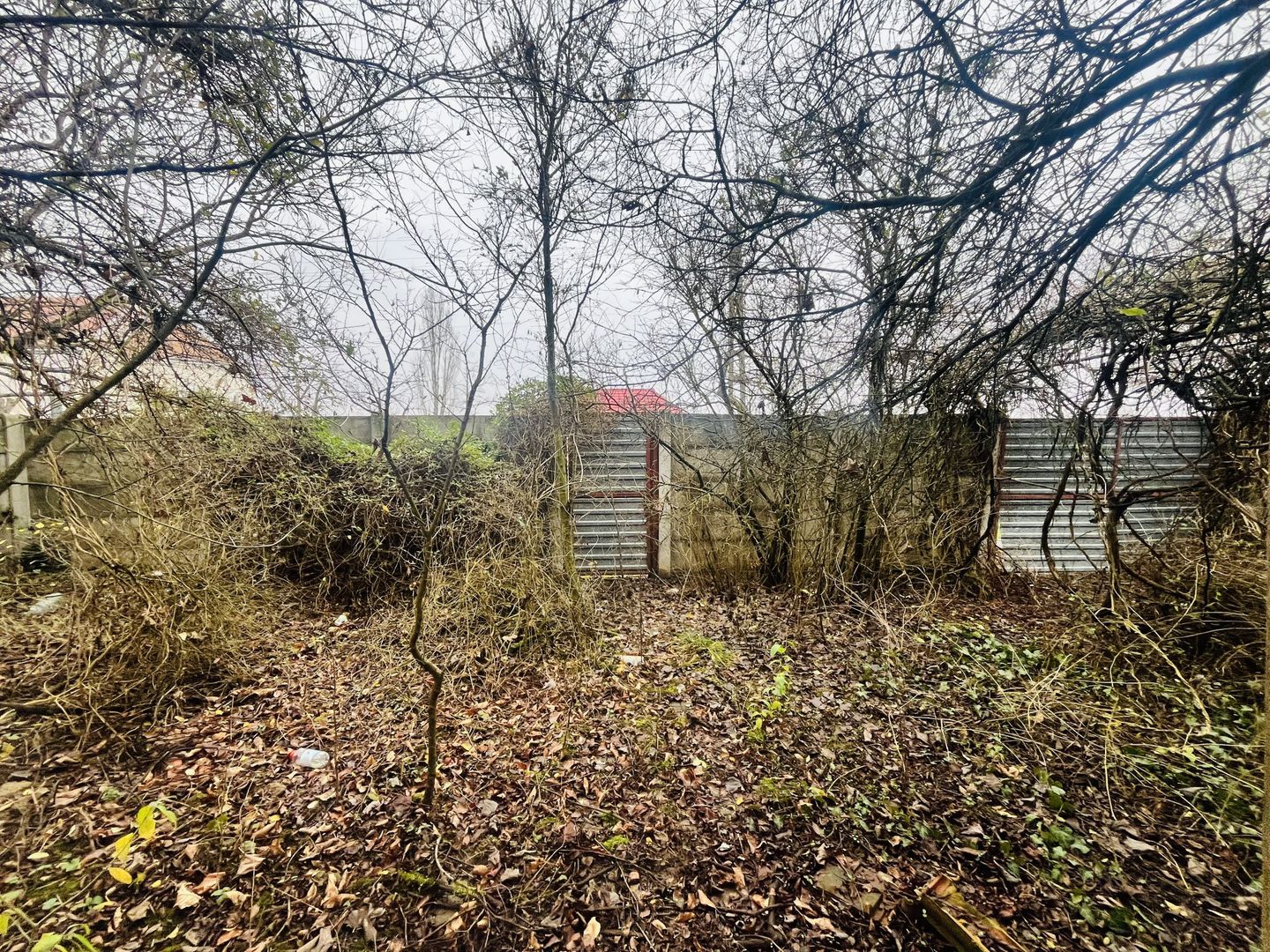 Casă cu teren de 1.463 mp în Ghizela, Timiș – Comision 0% - Poză 2