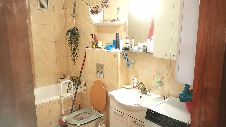 Apartament Plevnei / Orhideea - Poză 9