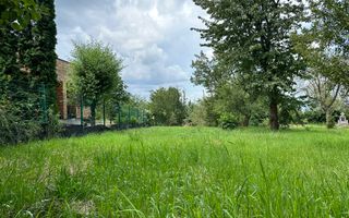 Teren 1000 mp cu Autorizație Construcție  - Făget, zona superba - Poză 3