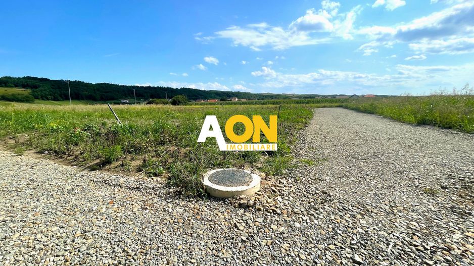 Teren de vanzare in Ciugud, deschidere 22ml, 800MP - Poză 1