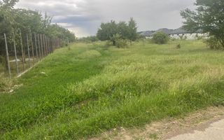 Teren 5.000 mp | Tamași – Corbeanca | Lângă Pădure | Utilități - Poză 1