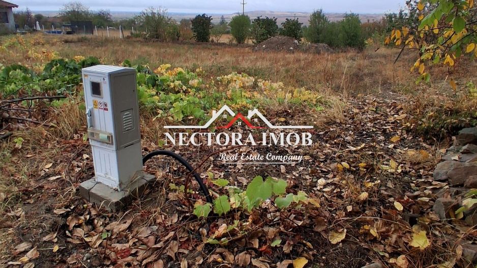 NECTORA IMOB-Teren Intravilan PALEU, 676 mp, Autorizatie Constructie - Poză 4