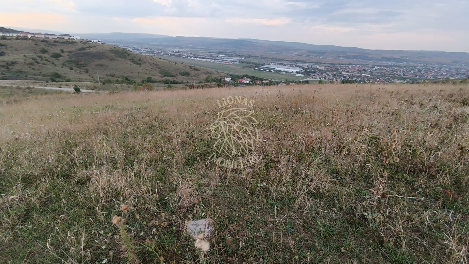 Teren intravilan 9400 mp,  ideal constructii, Dezmir, jud Cluj - Poză 5