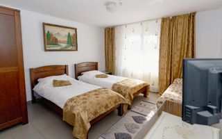 PENSIUNEA EVRICA - COSTESTI - HOREZU - VALCEA - Poză 8