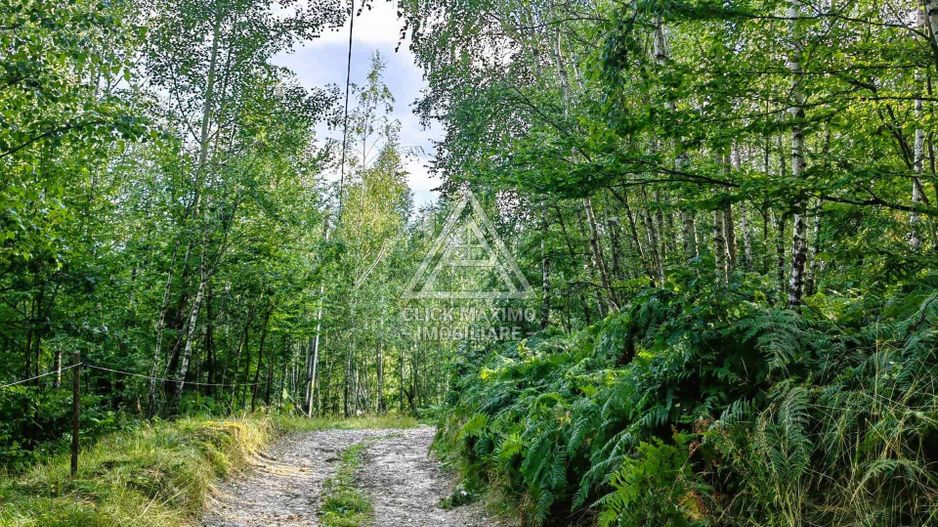 Casa,anexe si14.328 mp teren partial intravilan, com. Bulz, jud. Bihor - Poză 5