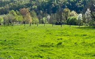 TEREN INTRAVILAN 2592 MP,  ALBESTI DE MUSCEL, ARGES - Poză 5