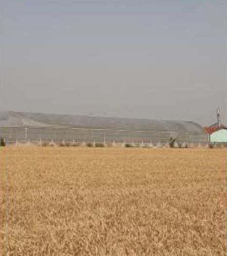 spatiu industrial Uivar Timis - Poză 2