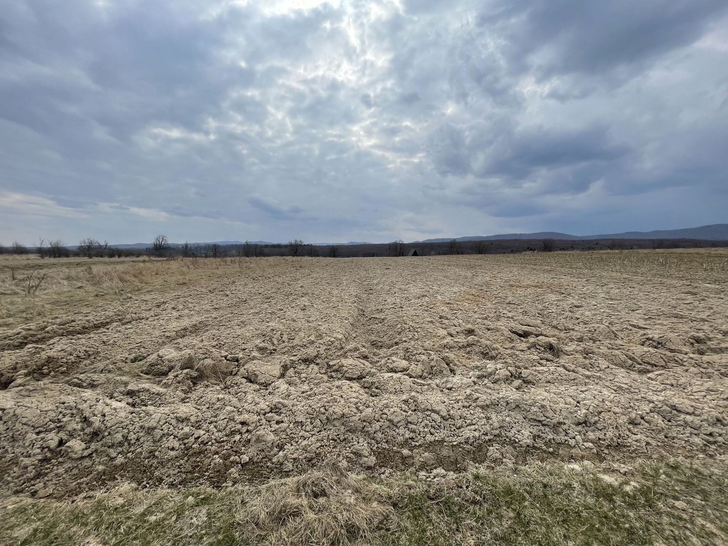 TEREN EXTRAVILAN | 23 ARI | HORODNIC DE SUS - Poză 5