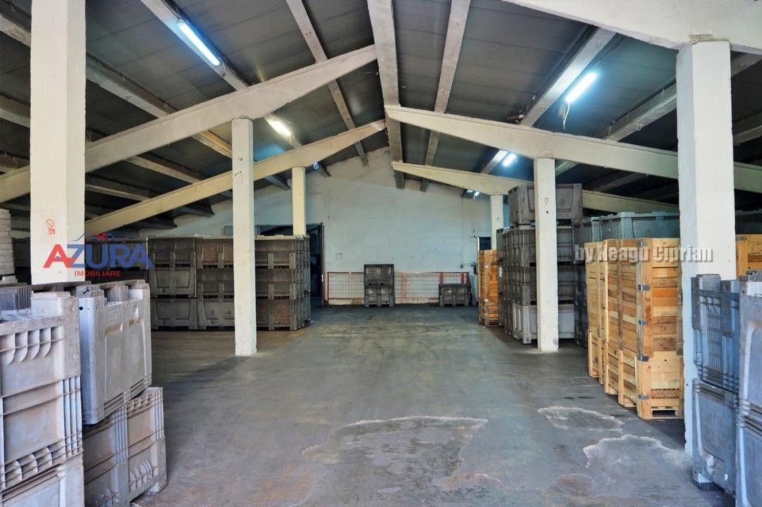 COMISION 0% - HALE Calinesti Arges - Poză 47