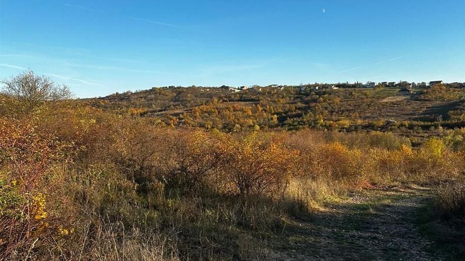 Teren intravilan langa lacul Hanul Pescarilor - Poză 3