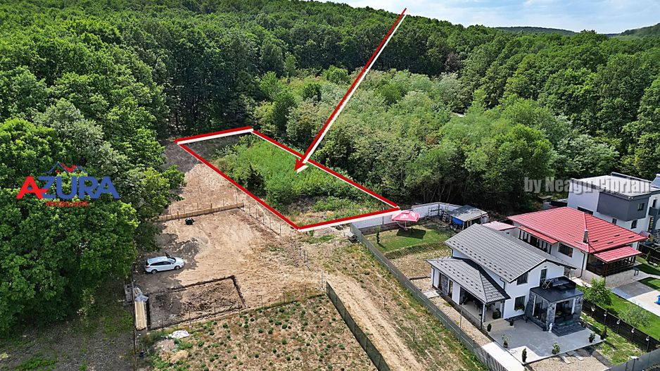 AZURA Imobiliare - Vanzare teren Hintesti, langa padure, 300m din DN - Poză 2