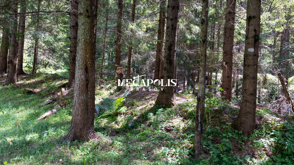 Pretabil Hotel,Pensiune,Case de Vacanta/Utilitati/PUZ - Poză 17