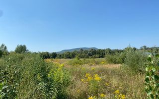 Teren 4100 mp - oportunitate investitie - Bistrita Zona Ranahum - Poză 6