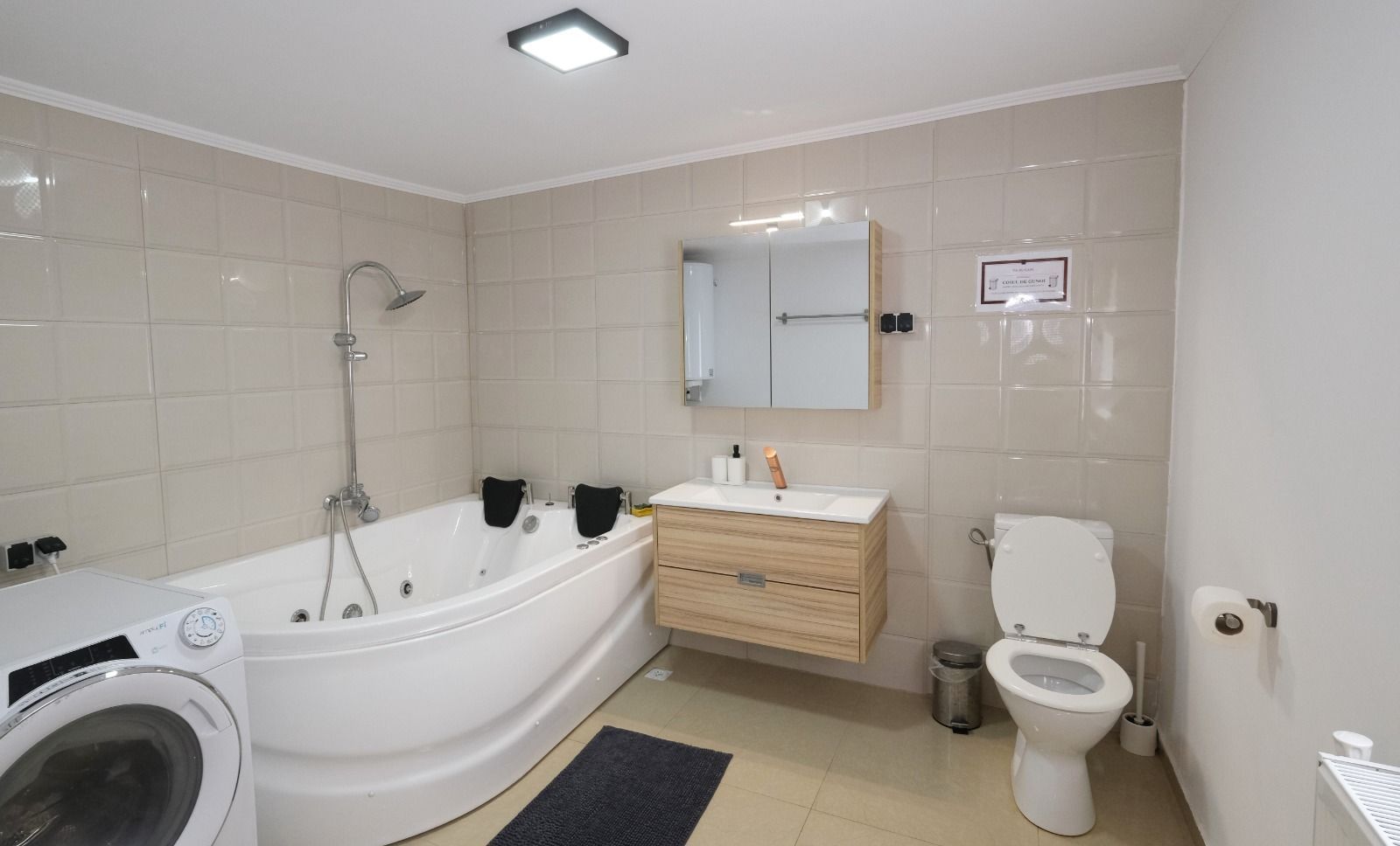 Pensiune la Cheia, moderna, functionala in totalitate, vedere mirifica (chirie) - Poză 12