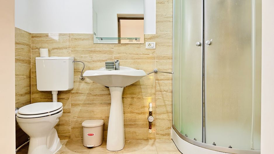 Apartament spatios cu 2 camere, in Vila apartamentata - Take Ionescu - Poză 14