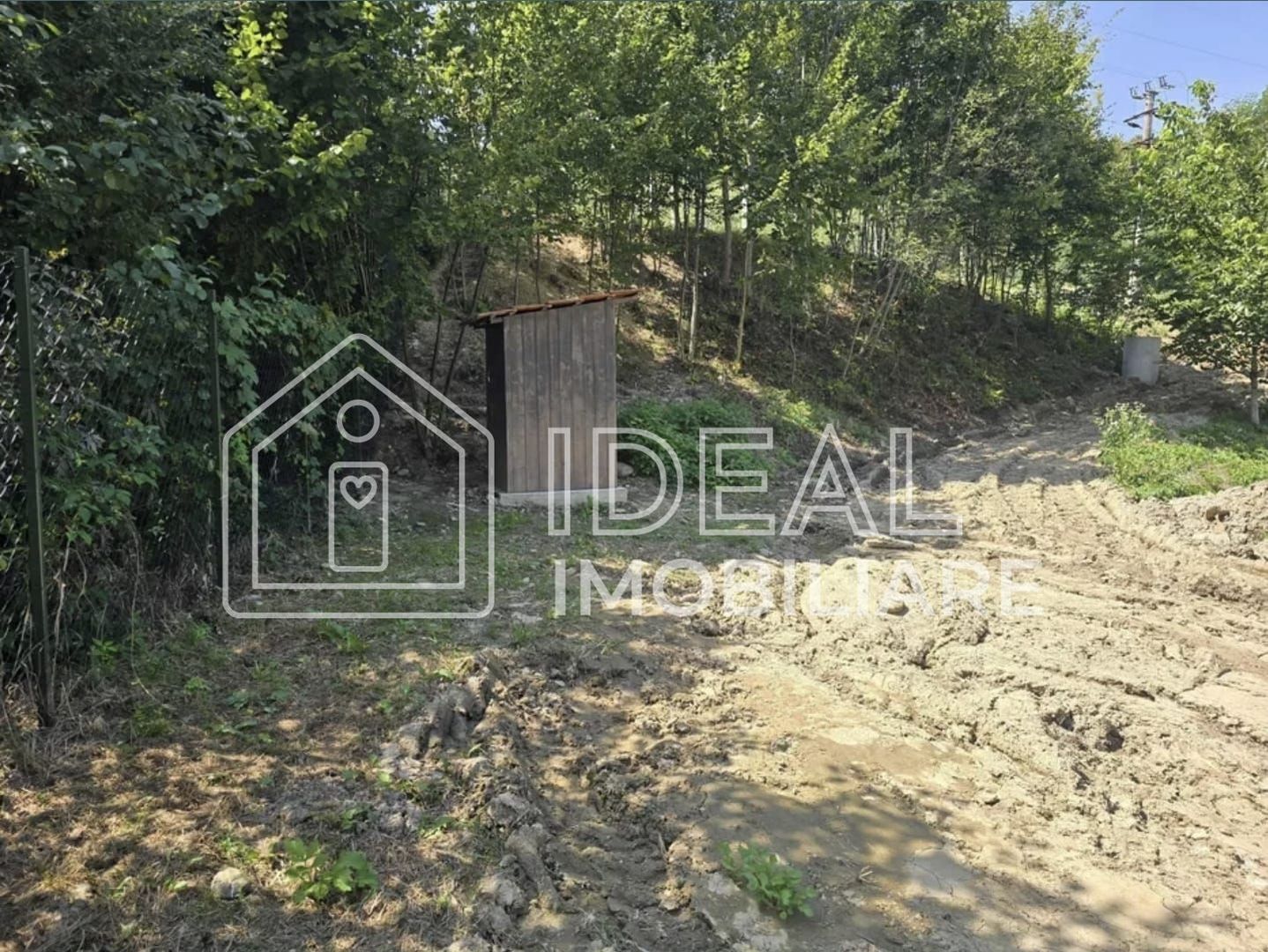 Teren extravilan 2.300 mp – Cârțișoara, județul Sibiu - Poză 6