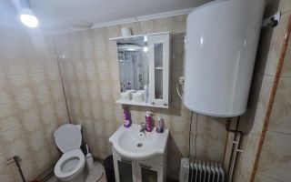 Ansamblu rezidențial cu două case și teren de 1,4 hectare, Bohotin - Poză 2