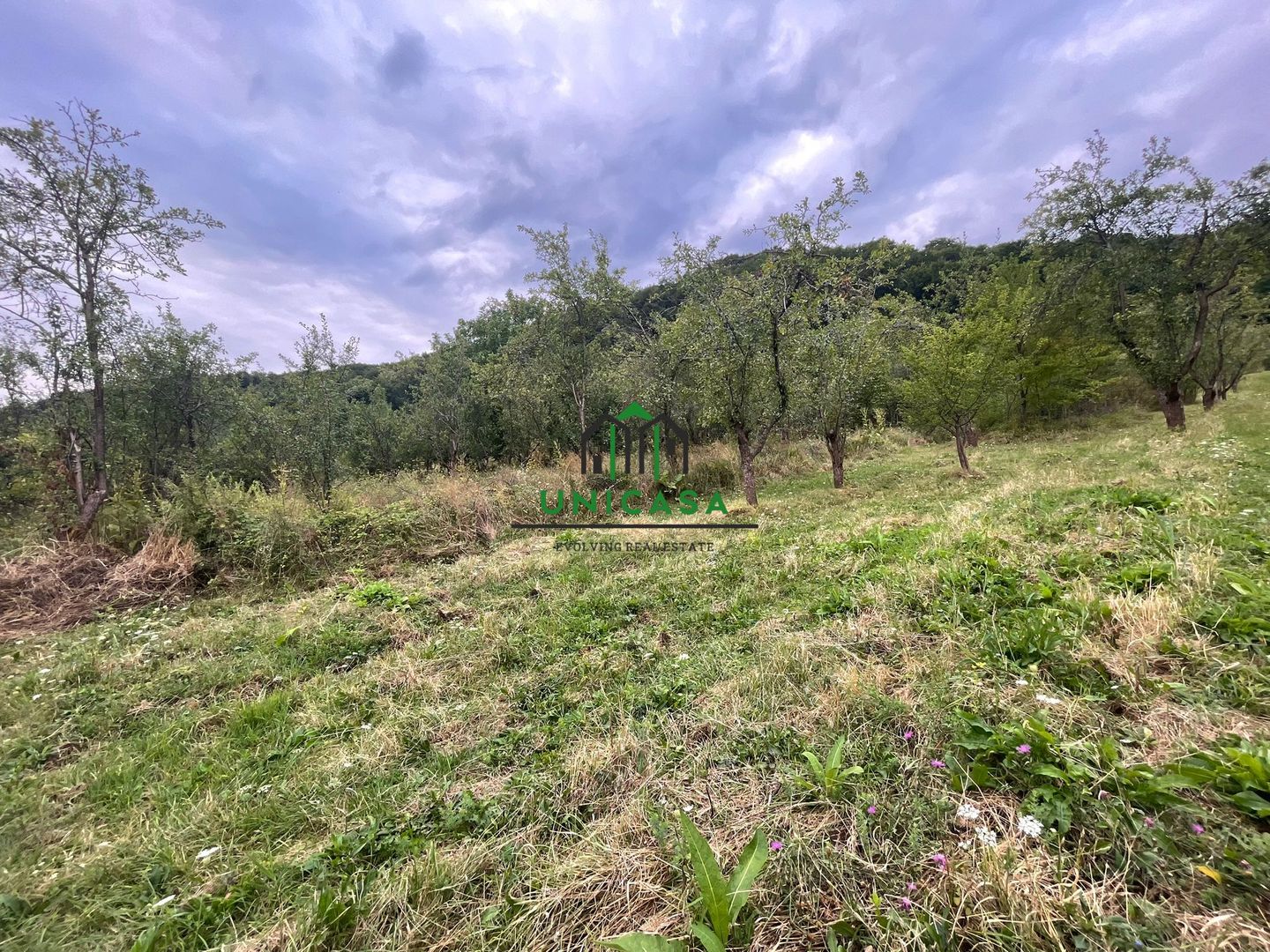 Teren intravilan - Cetatuie - Poză 2