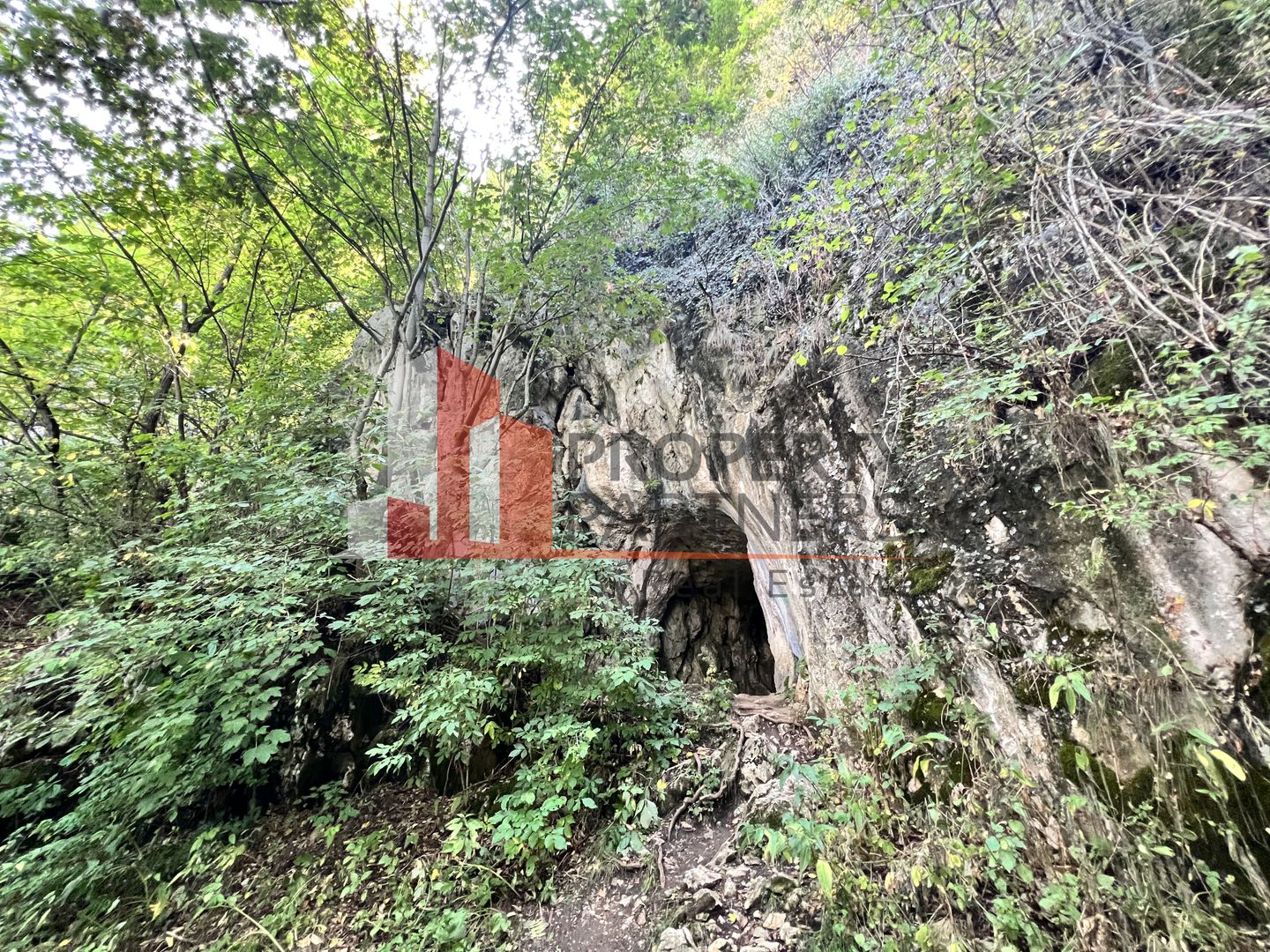Teren de vânzare langa  Peștera Liliecilor  in Sat Pestera - Poză 5