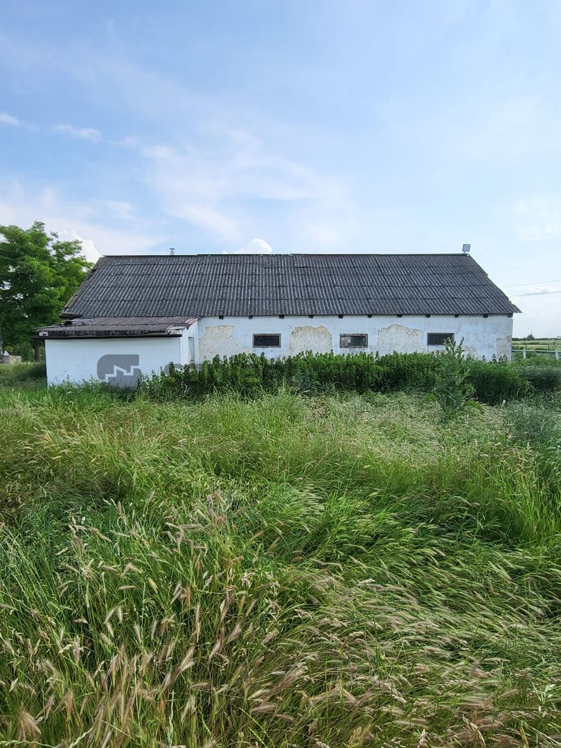 FERMA ZOOTEHNICA DE VANZARE - Poză 6