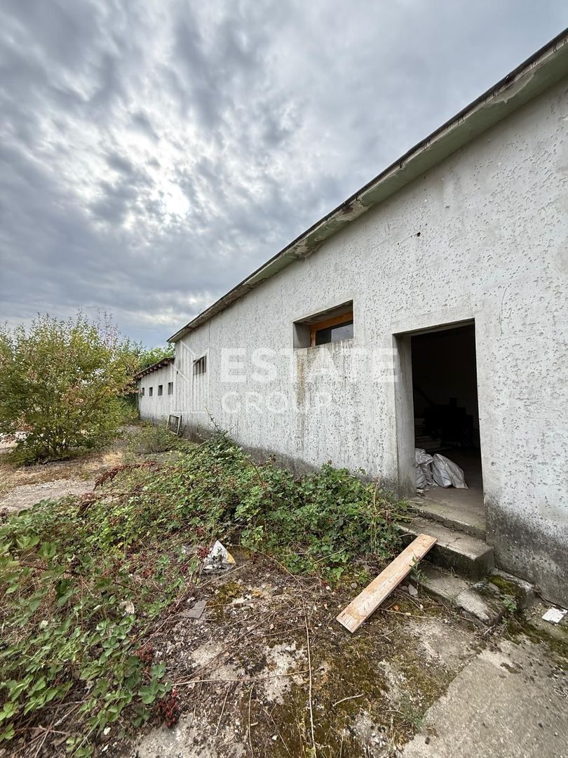 Hala de productie sau pentru depozitare Ortisoara - Poză 2