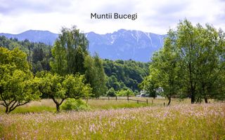Teren intravilan plat in Bran, 1000 mp, vedere către Bucegi, utilitati - Poză 7