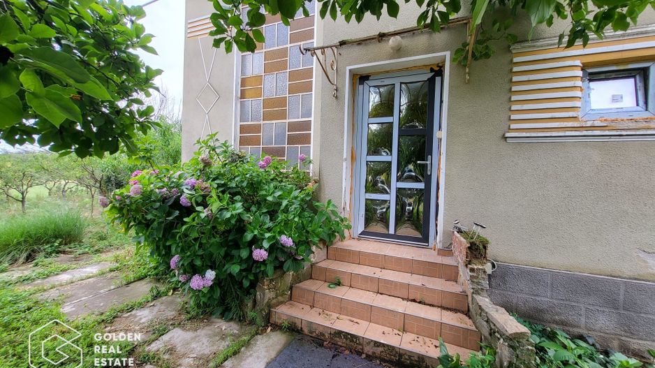 Casa cu D+P+E, 3500 mp teren, zona centrala, Paulis - Poză 4