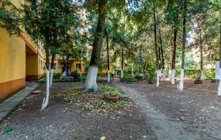 Apartament 3 camere, etaj 1, zonă verde și retrasă Poetului, Vlaicu