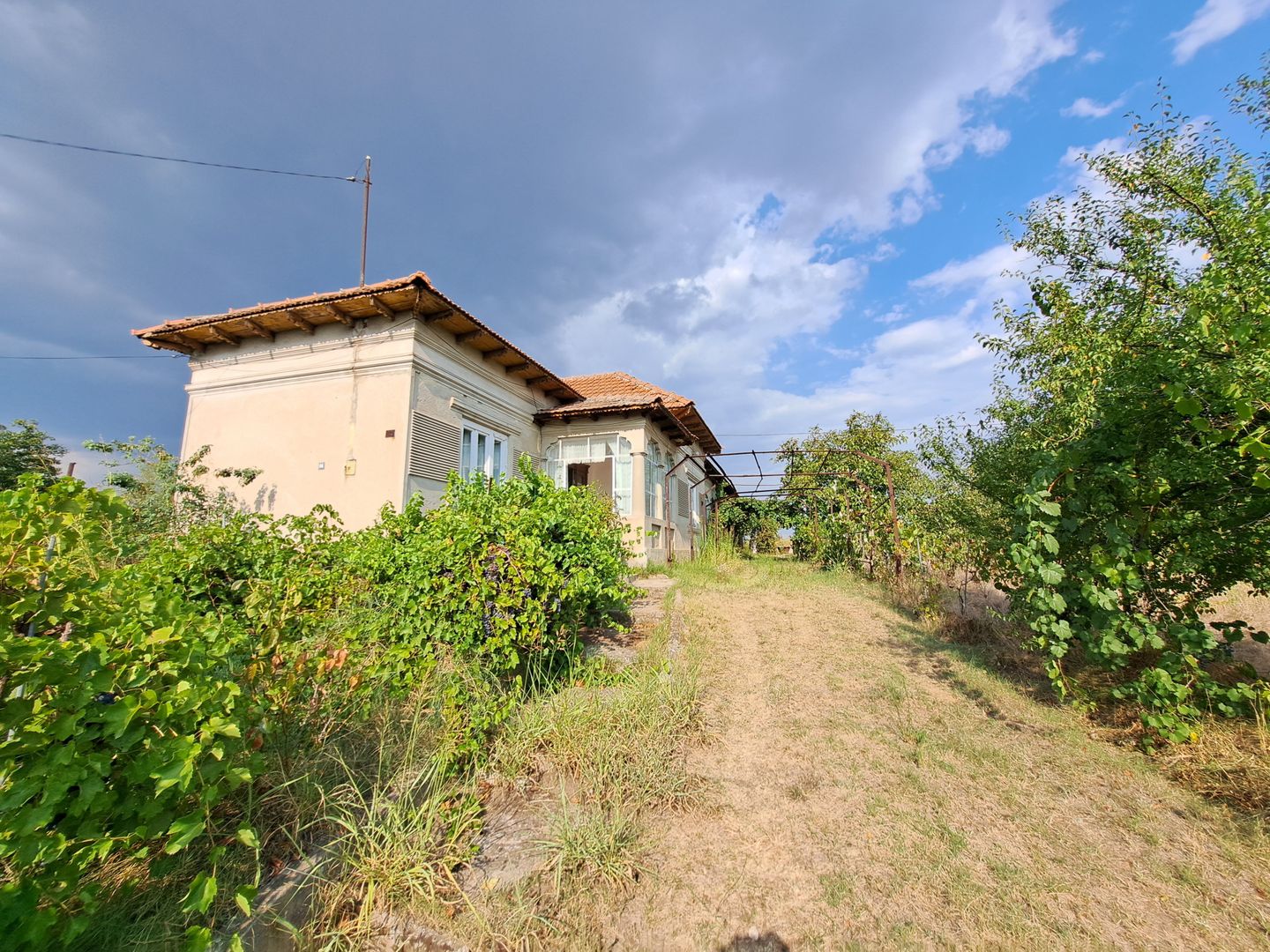 Casa + Teren 13.000 mp - Cervenia - Teleorman - Poză 2