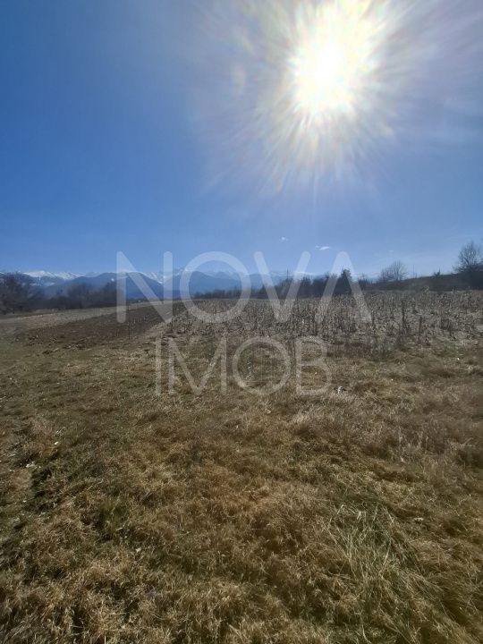 Teren extravilan de vanzare - Arpasul de Sus - Poză 2