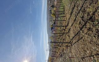 Teren intravilan 708 mp Rediu | Acces privat - Poză 2