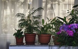 Sagului | 3 camere | 64 mp utili+balcon | centrala proprie | Et. 2\4 - Poză 13