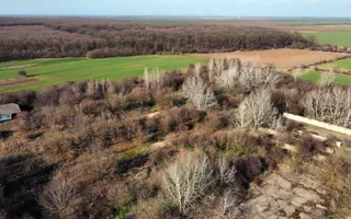 Ferma si livada de meri in judetul Ilfov - Poză 14